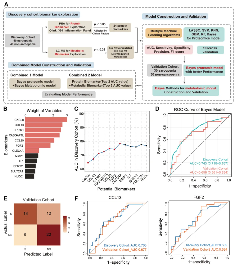 JCSM(IF=9.1)|四川大学华西医院姜昊团队：整合血浆蛋白质组与代谢组学构建肌少症新型诊断模型(图5)