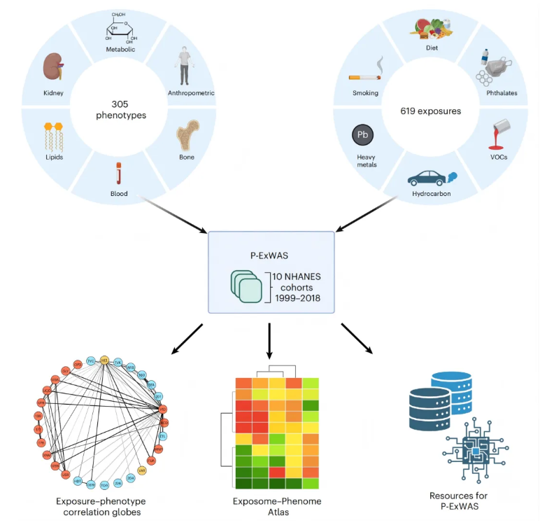 nature medicine (IF=50)|改写健康命运：环境暴露组的临床预测价值深度解析！(图2)