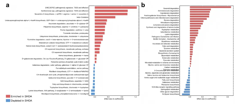 eBioMedicine (IF=10.8)|肠菌代谢紊乱与关节损伤密切相关！解锁症状性手骨关节炎关键调控机制(图4)