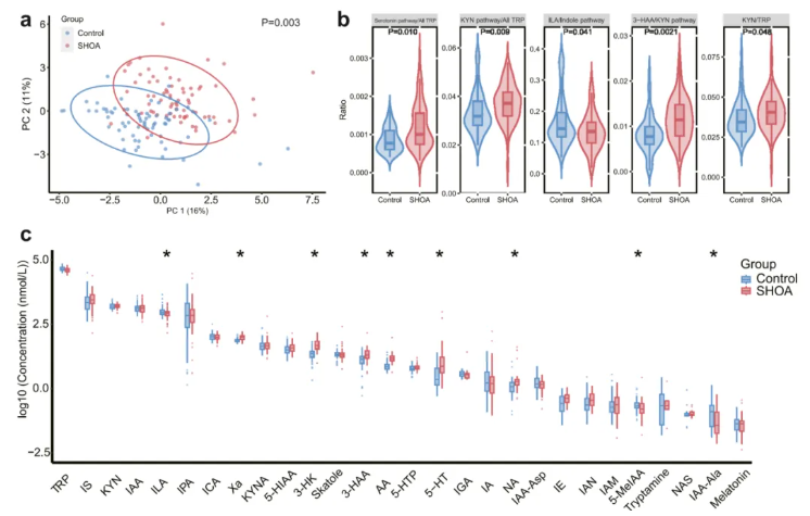 eBioMedicine (IF=10.8)|肠菌代谢紊乱与关节损伤密切相关！解锁症状性手骨关节炎关键调控机制(图6)