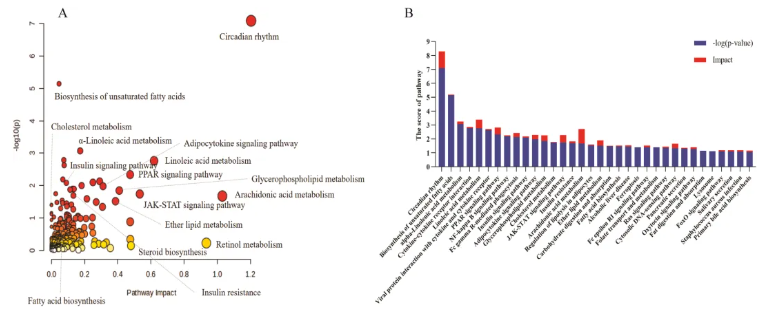 Phytomedicine(IF=8.3)|喝饮料也能降血脂？兰州大学研究团队发现：沙棘+水飞蓟固体饮料，显著改善高脂血症大鼠指标！(图12)