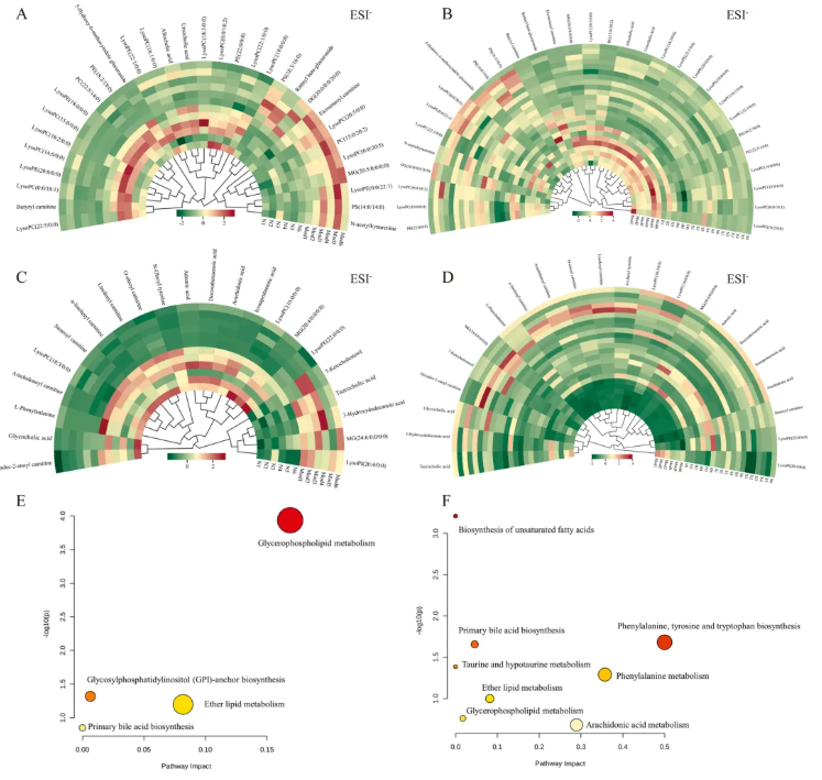 Phytomedicine(IF=8.3)|喝饮料也能降血脂？兰州大学研究团队发现：沙棘+水飞蓟固体饮料，显著改善高脂血症大鼠指标！(图8)