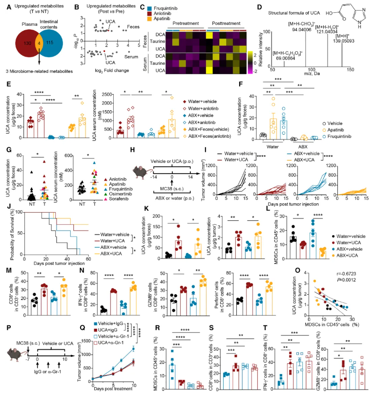 Cell子刊(IF=18.7)|中国药科大学单云龙团队：菌群代谢物尿刊酸重塑肿瘤免疫微环境，强效增敏免疫治疗(图3)