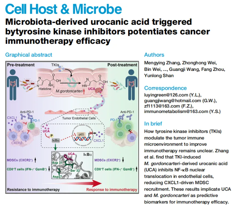 Cell子刊(IF=18.7)|中国药科大学单云龙团队：菌群代谢物尿刊酸重塑肿瘤免疫微环境，强效增敏免疫治疗(图1)
