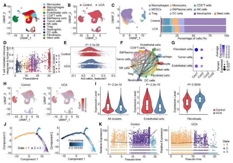 Cell子刊(IF=18.7)|中国药科大学单云龙团队：菌群代谢物尿刊酸重塑肿瘤免疫微环境，强效增敏免疫治疗(图5)