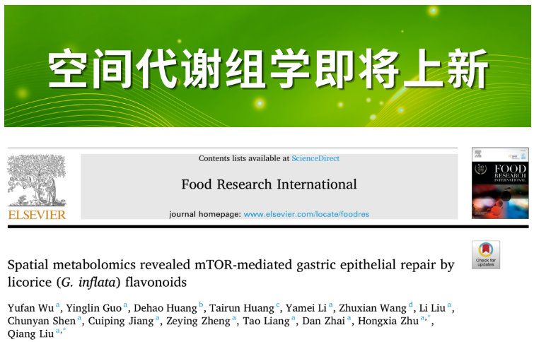 Food Res.Int.(IF=8.0)|喝酒伤胃为何难愈？南方医科大学研究团队用空间代谢组学找到甘草黄酮护胃的总开关(图1)