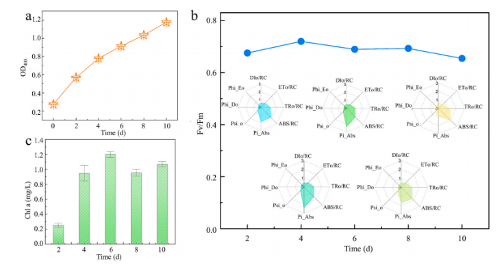 Bioresour Technol.北林洪喻教授团队发现：调控碳源互作解锁小球藻代谢密码！(图5)