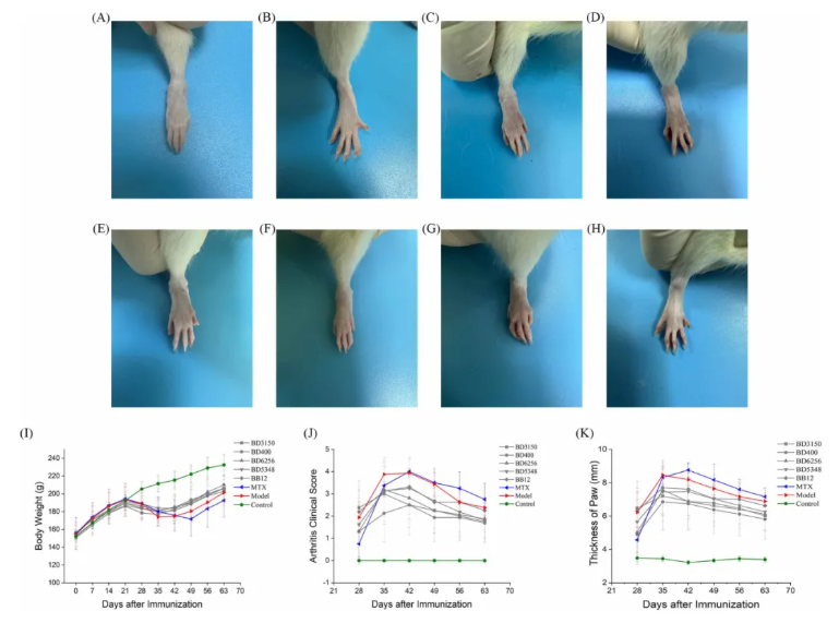 Front.Immunol.(IF=5.9)|益生菌BD400重塑肠道菌群并调控组氨酸代谢，实现类风湿关节炎早期保护(图3)