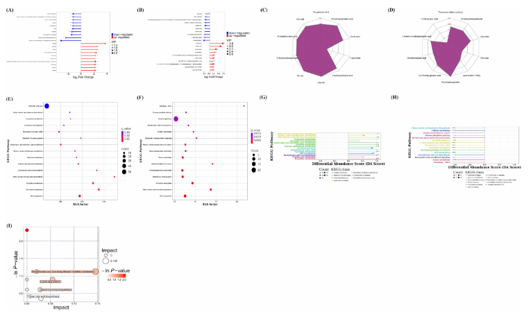 Front.Immunol.(IF=5.9)|益生菌BD400重塑肠道菌群并调控组氨酸代谢，实现类风湿关节炎早期保护(图11)