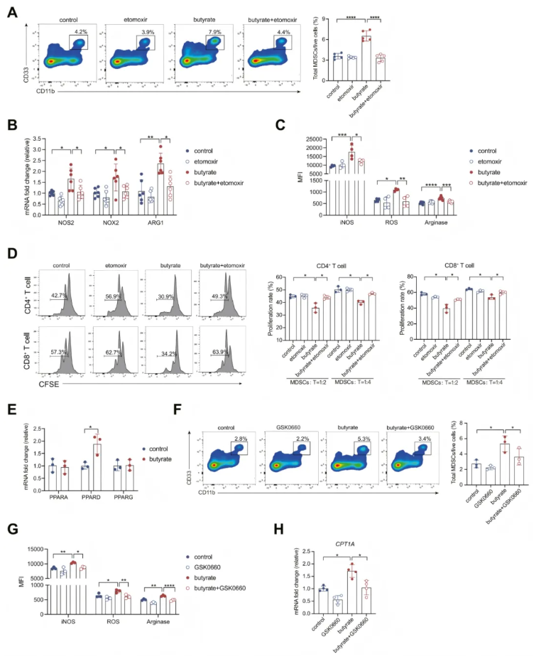 Gastroenterology(IF=25.1)|仁济医院研究团队：肠道菌群来源丁酸盐诱导MDSCs表观遗传与代谢重编程，减轻PBC(图6)