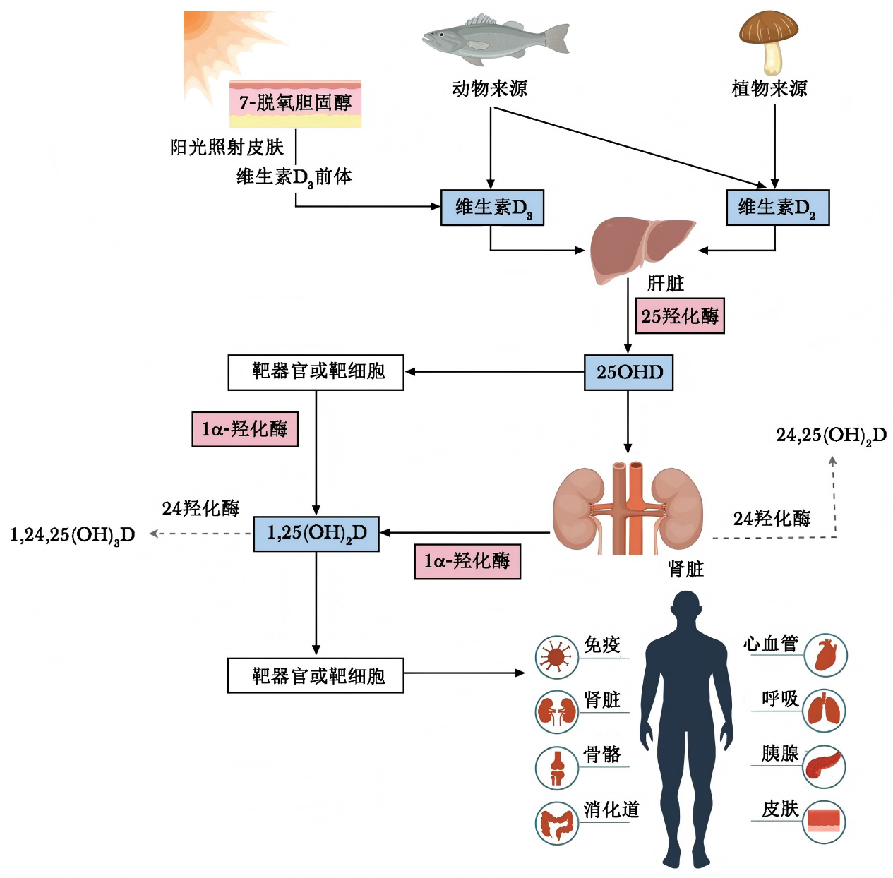 WPS图片11.png