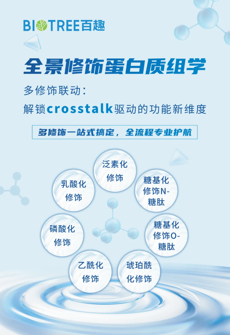 J.Agric.Food Chem.(IF=6.2)|东北农业大学齐照明/陈庆山团队利用乳酸化组学揭示赖氨酸乳酸化双向调控大豆种子油脂与蛋白含量的新机制(图8)