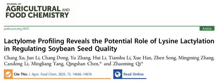 J.Agric.Food Chem.(IF=6.2)|东北农业大学齐照明/陈庆山团队利用乳酸化组学揭示赖氨酸乳酸化双向调控大豆种子油脂与蛋白含量的新机制(图1)
