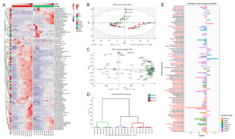 Food Biosci.(IF=5.9)|同为米酒酿造为何高级醇参差不齐？福大研究团队锁定菌群关键诱因(图8)