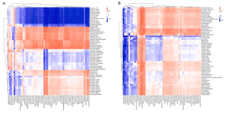 Food Biosci.(IF=5.9)|同为米酒酿造为何高级醇参差不齐？福大研究团队锁定菌群关键诱因(图9)
