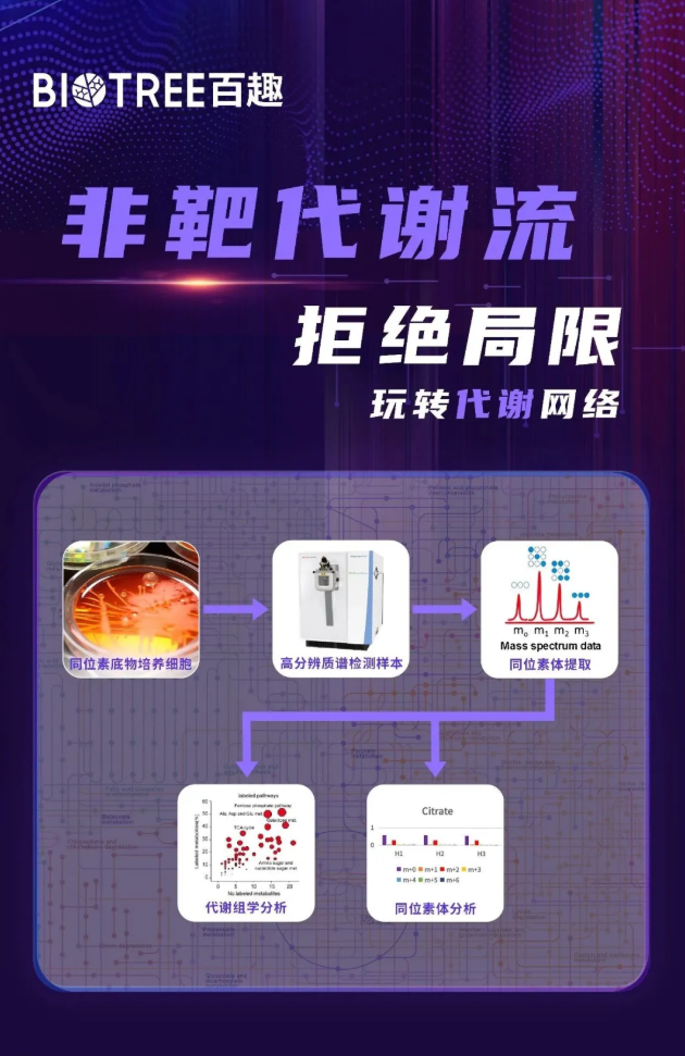 nat.microbiol.(IF=19.4)|华南农大研究团队发现代谢疾病治疗新思路，一株乳杆菌凭借茶氨酸层层解锁BCAA代谢密码(图8)