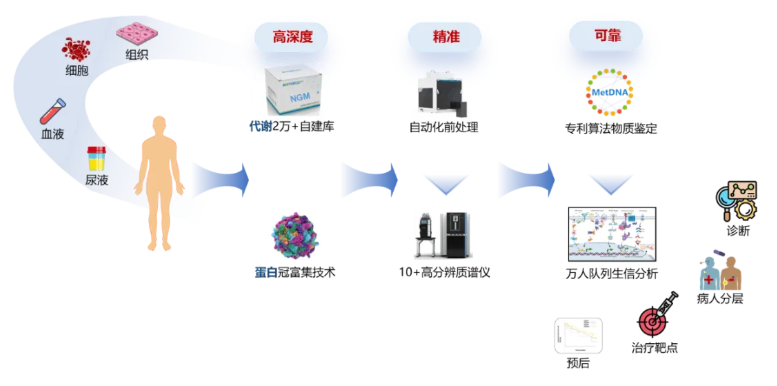 百趣医学新品发布 | 双羟基维生素D试剂盒，实现VD全代谢通路功能评估(图6)