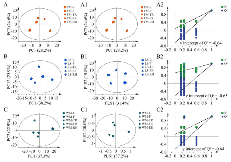 Food Chemistry: X(IF=9.2)|天津理工大学团队揭秘广西莪术精油的“产地-器官-药效”密码!(图2)