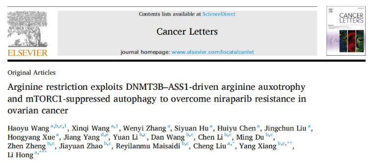 Cancer Letters(IF=11.8)|武汉大学人民医院洪莉教授团队:破解卵巢癌PARP抑制剂耐药,膳食精氨酸限制成为全新增敏策略(图1) Cancer Letters(IF=11.8)|武汉大学人民医院洪莉教授团队:破解卵巢癌PARP抑制剂耐药,膳食精氨酸限制成为全新增敏策略(图1)